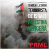 Viva la resistencia del pueblo palestino